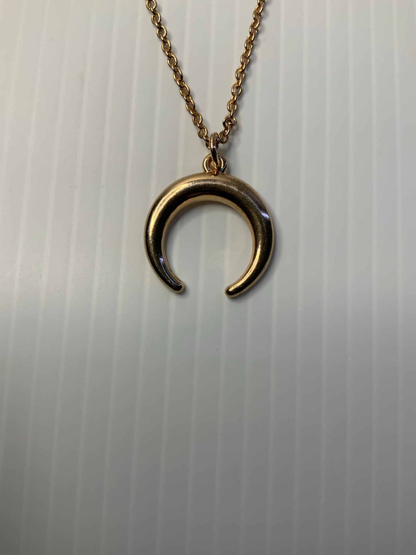 Horseshoe Gold Plate Charm Pendant Fine Link Necklace